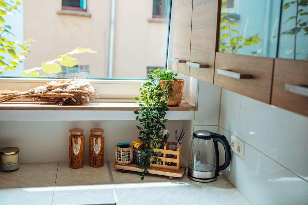 Central-Living Brown - Wifi - Netflix - 5 Pers エッセン エクステリア 写真